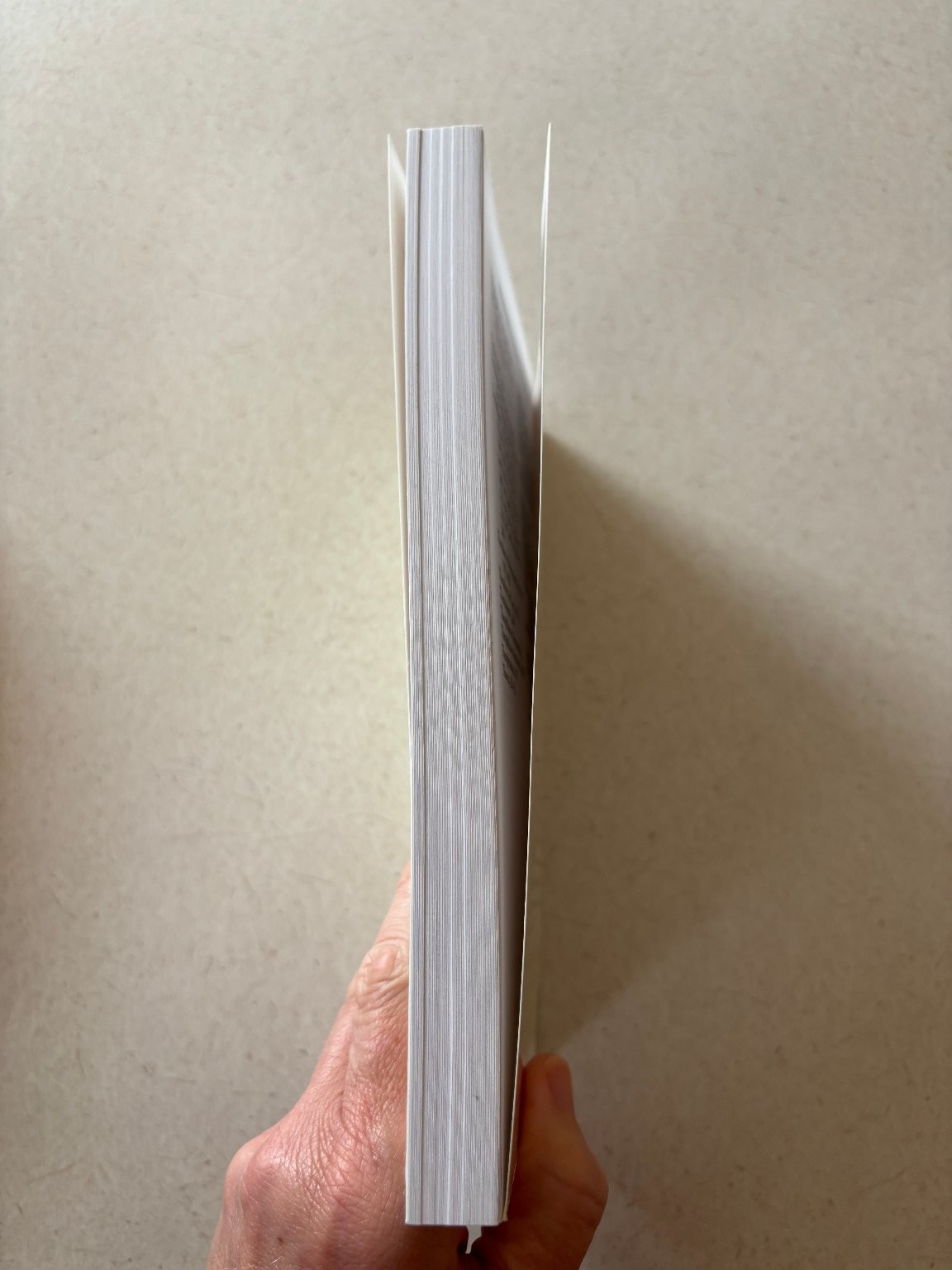 Beginning to Read the Fathers Boniface Ramsey 2012 Revised Edition Paulist Press