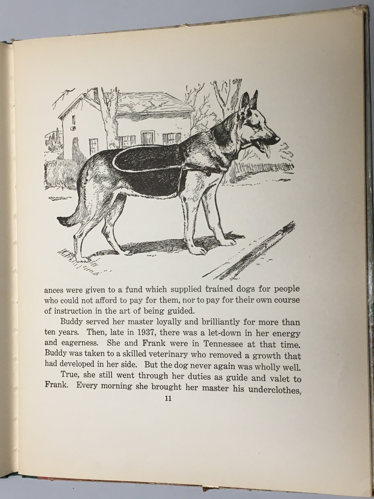 Dogs by Albert Payson Terhune & Kurt Wiese – 62 Pages Saalfield Publishing 1940