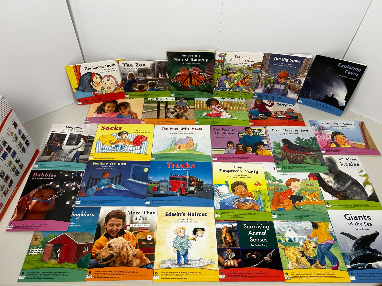 Fountas & Pinnell Benchmark Assessment System 1 Complete Set Levels A-N