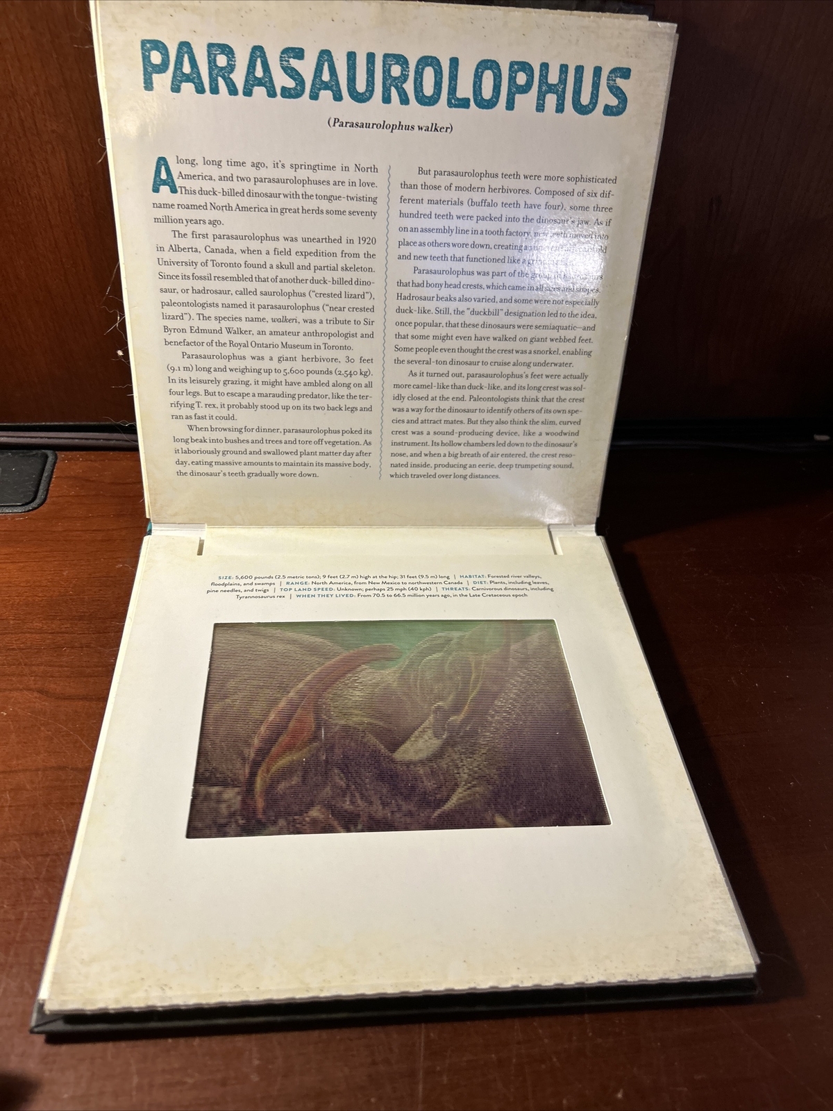 Photicular Ser.: Dinosaur : A Photicular Book by Kathy Wollard and Dan Kainen…