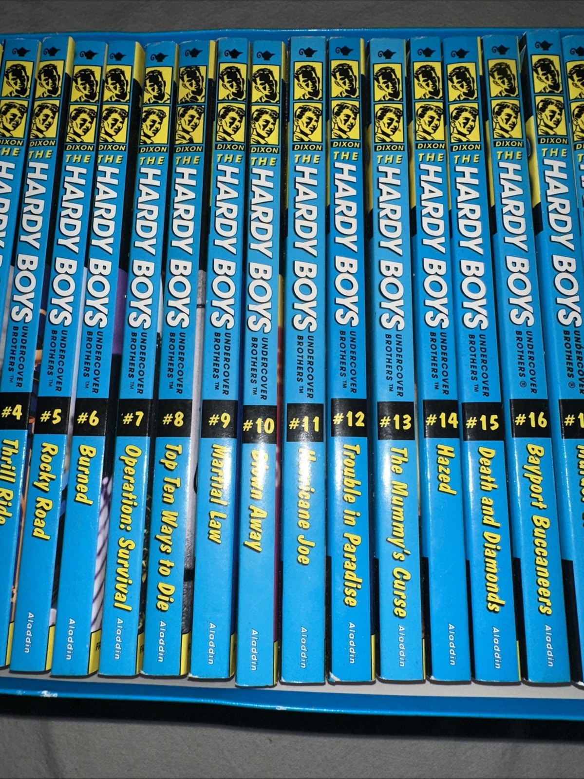 The Ultimate Sleuth 24 Book Collection The Hardy Boys Undercover Brothers