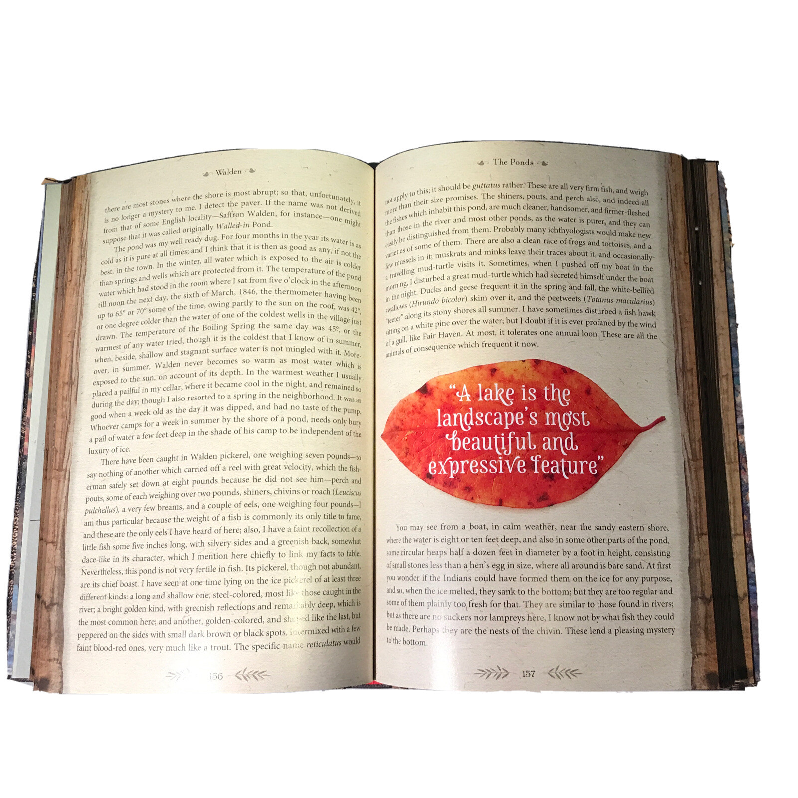 ❤️THE ILLUSTRATED WALDEN or LIIFE IN THE WOODS Henry David Thoreau NEW Hardcover