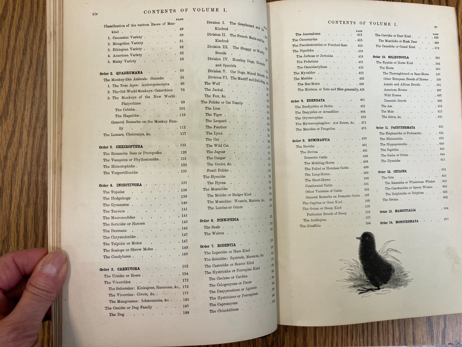 Johnson’s Natural History, Animal Kingdom, Vol. 1&2, by S. G. Goodrich, 1874