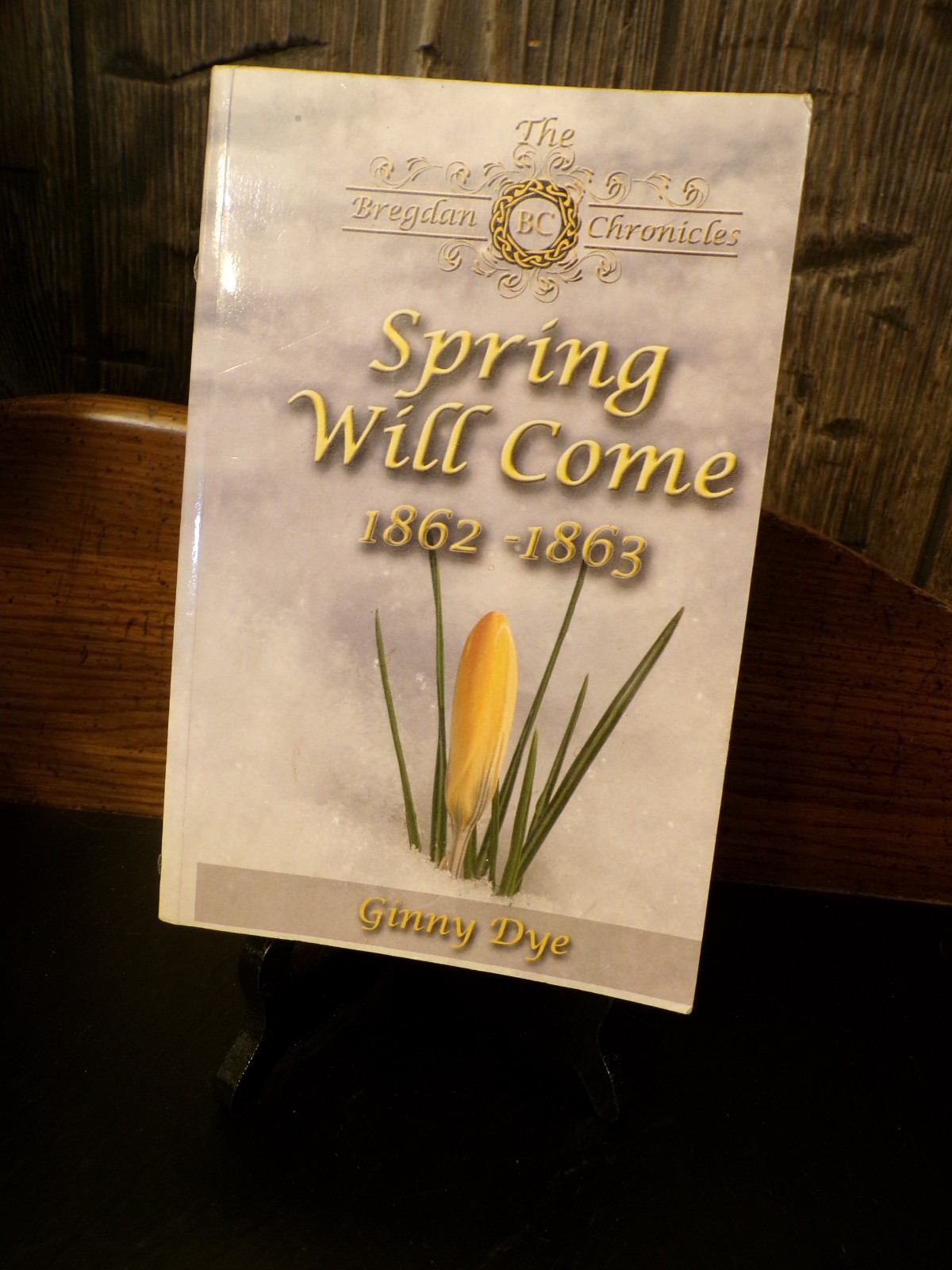 Spring Will Come 1862-1863 by Ginny Dye 2010 Paperback