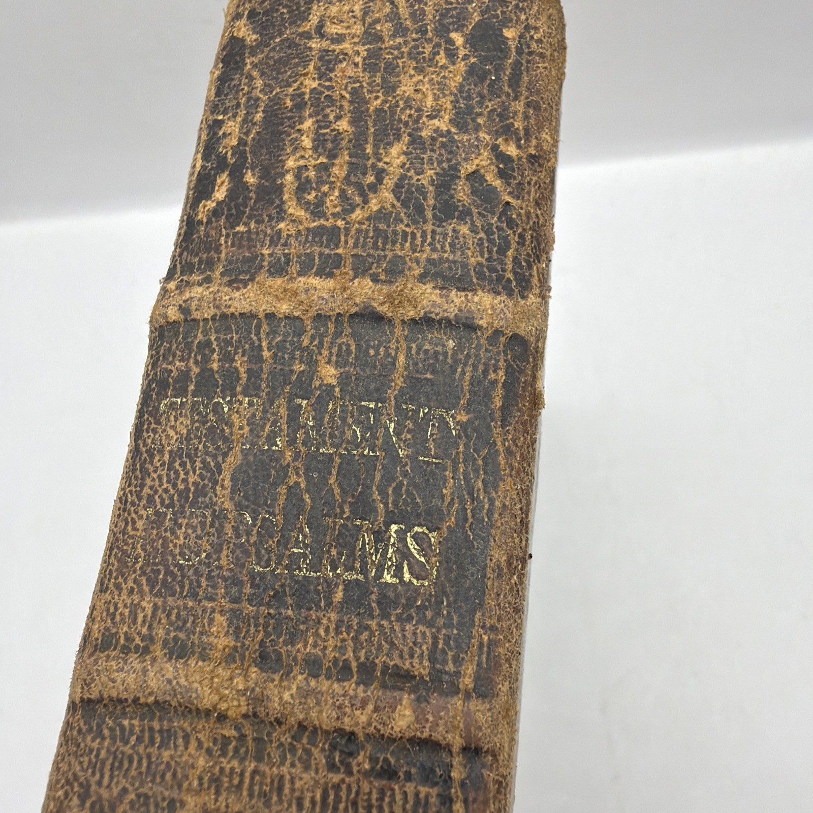 1878 New Testament & Book of Psalms American Bible Society