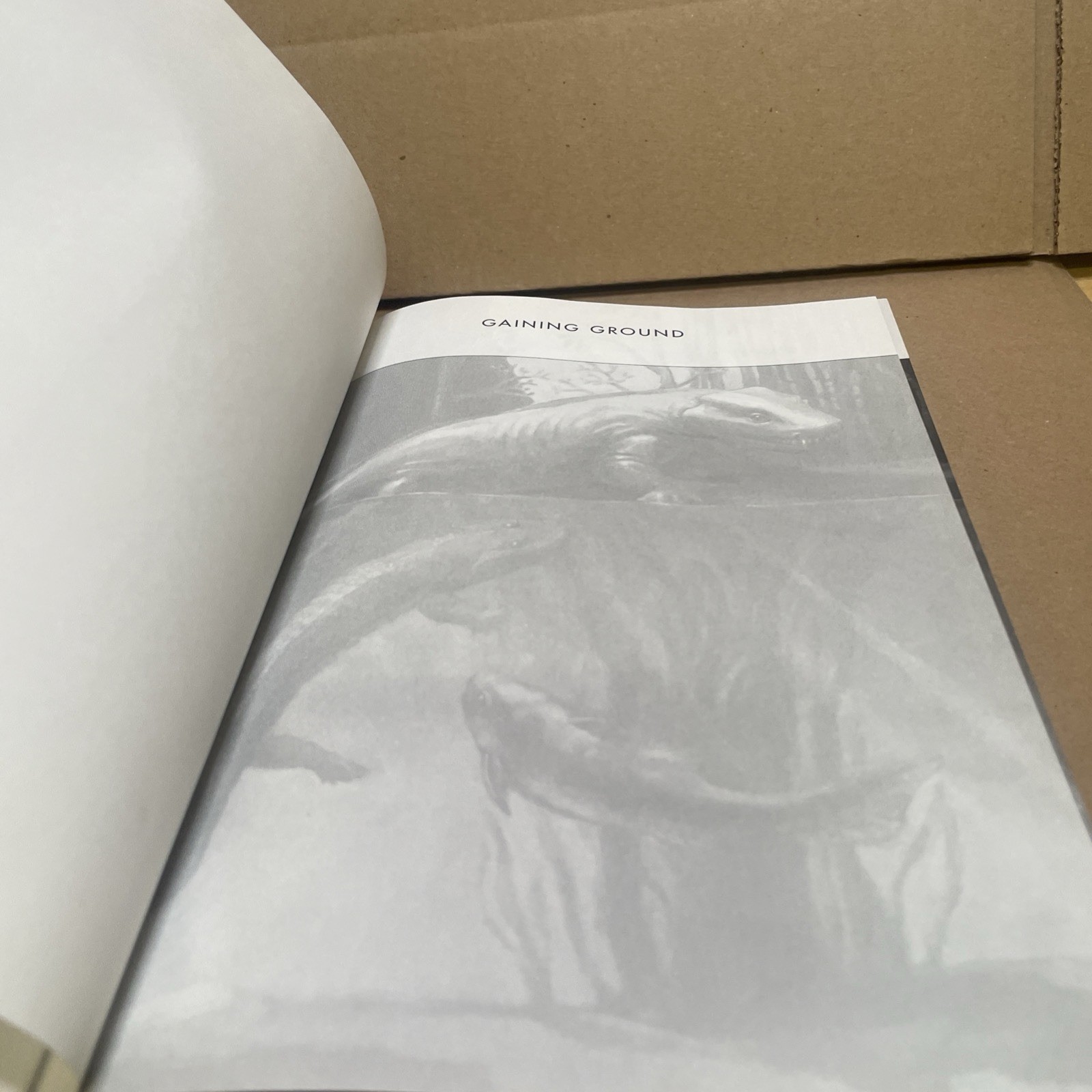 Gaining Ground: The Origin and Evolution of Tetrapods by Clack