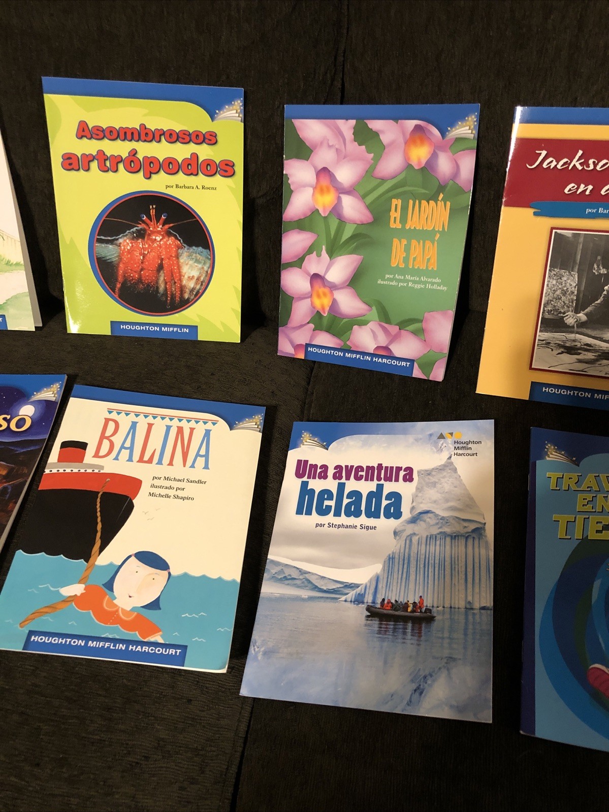 SPANISH Childrens Leveled Book LEVELS For Grade 1 and Grade 4 – Libros para Nino