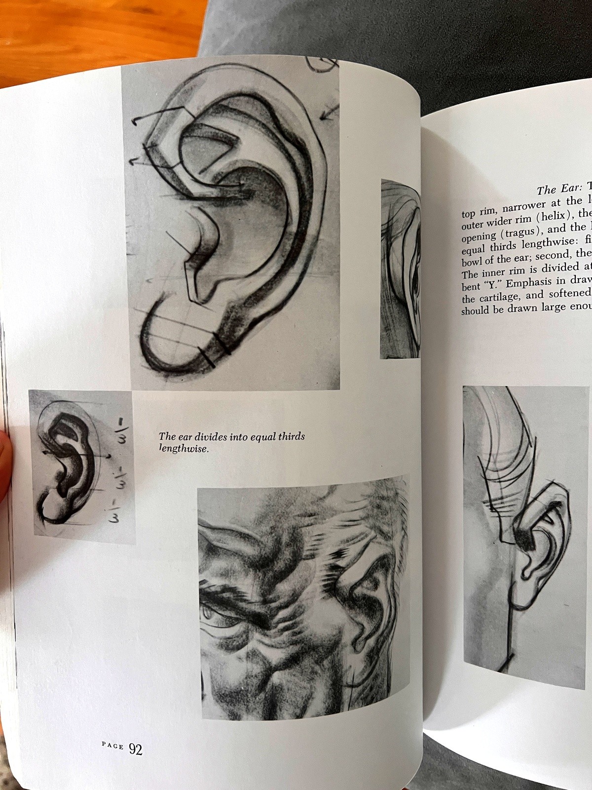 Dynamic Anatomy Burne Hogarth Revised Expanded Edition Figure Drawing Art