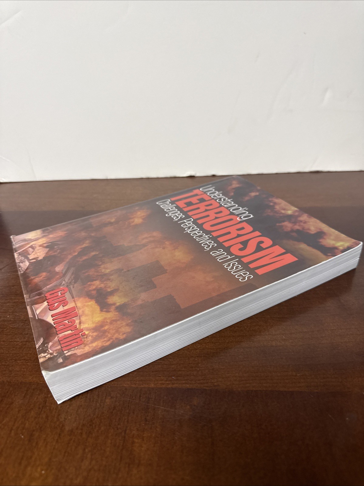 Understanding Terrorism: Challenges, Perspectives, and Issues