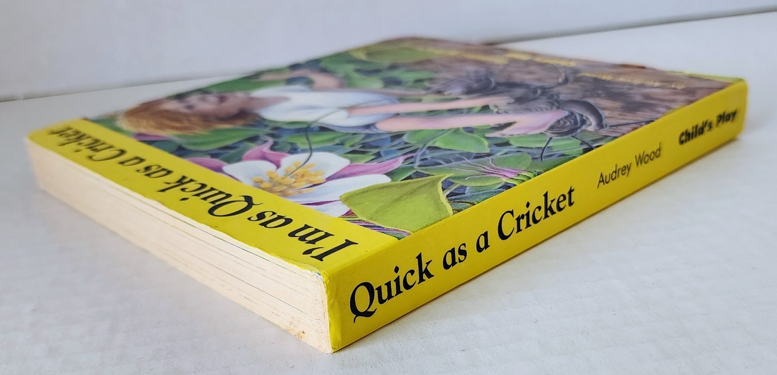 I’m as Quick as a Cricket Board Book Audrey Wood Don Wood Child’s Play