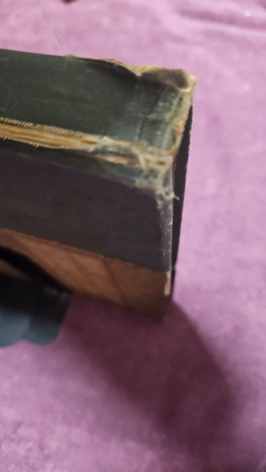 ‡ 🌷 Golden Flower Chrysanthemum • 1890 Rare Lithographs and Verses by Matthews
