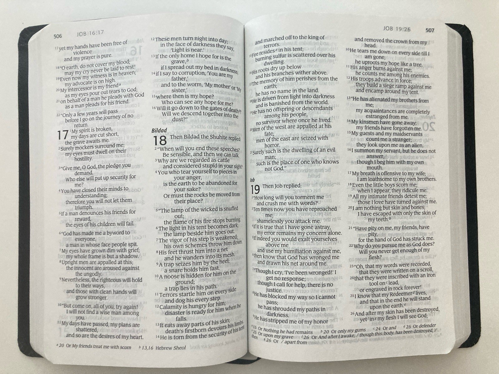 NIV 2005 Large Print Thinline Bible -Black Top Grain Genuine Leather-OOP 84