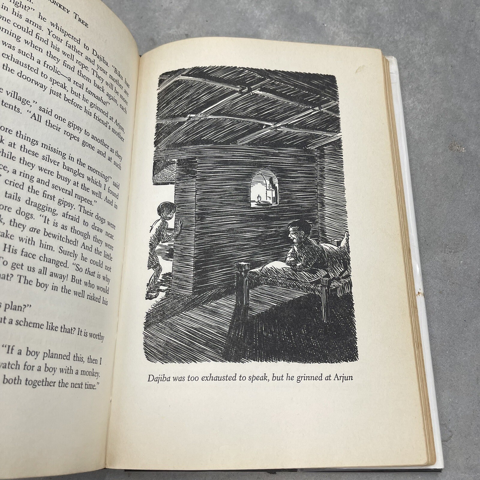 The Monkey Tree Irene Mott Bose 1956 Illustrated HC DJ First Ed Ex-Library