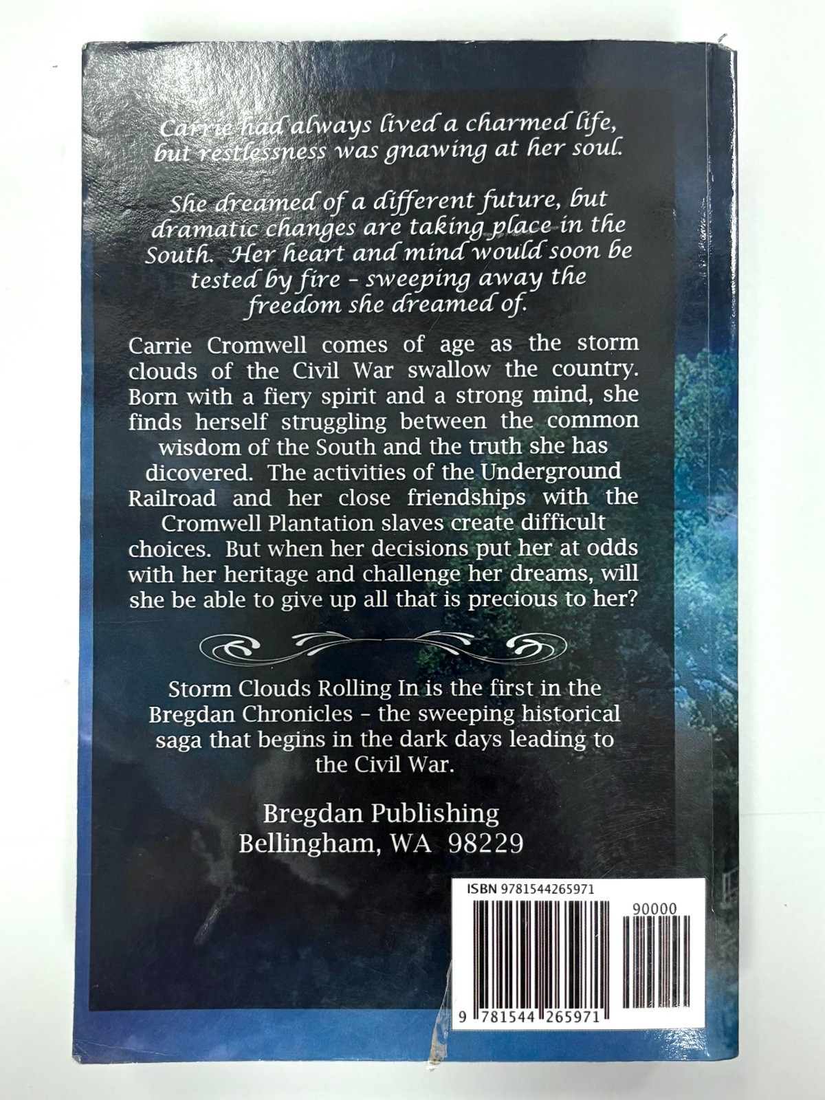 1-5 The Bregdan Chronicles Ginny Dye paperback series lot