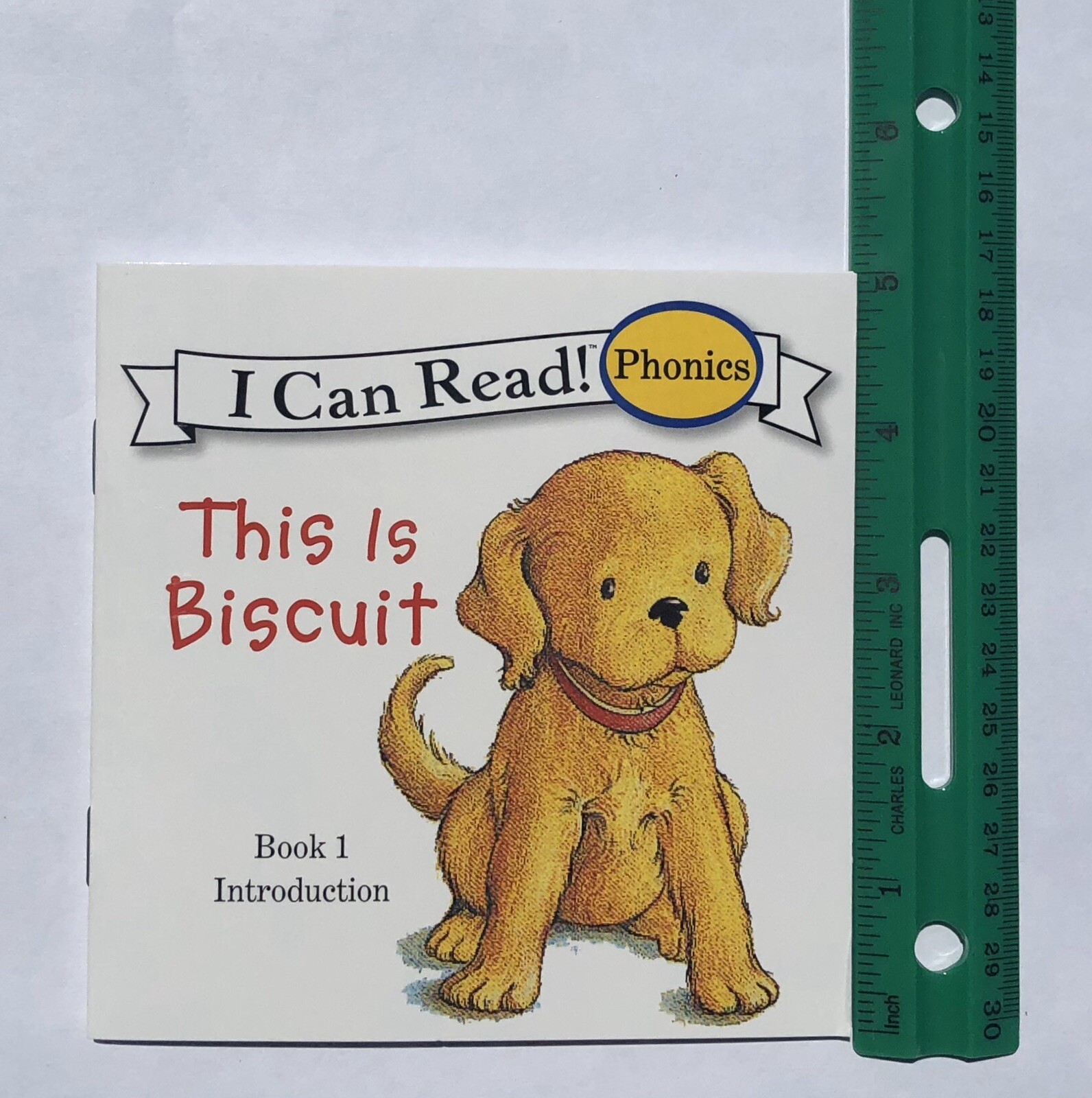 Biscuit Phonics Childrens Books Fun Learning Learn to Read I Can Read Lot 24