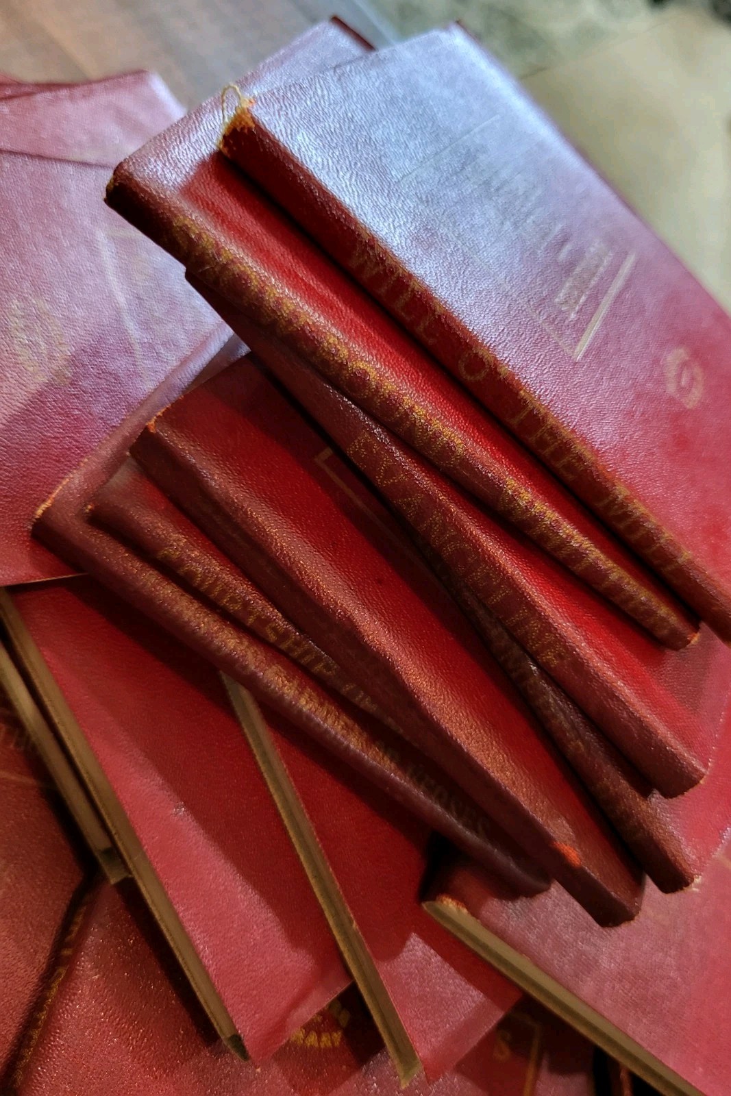 Lot of 66 Vintage 1920s Little Leather Library Miniature Red Books Collection