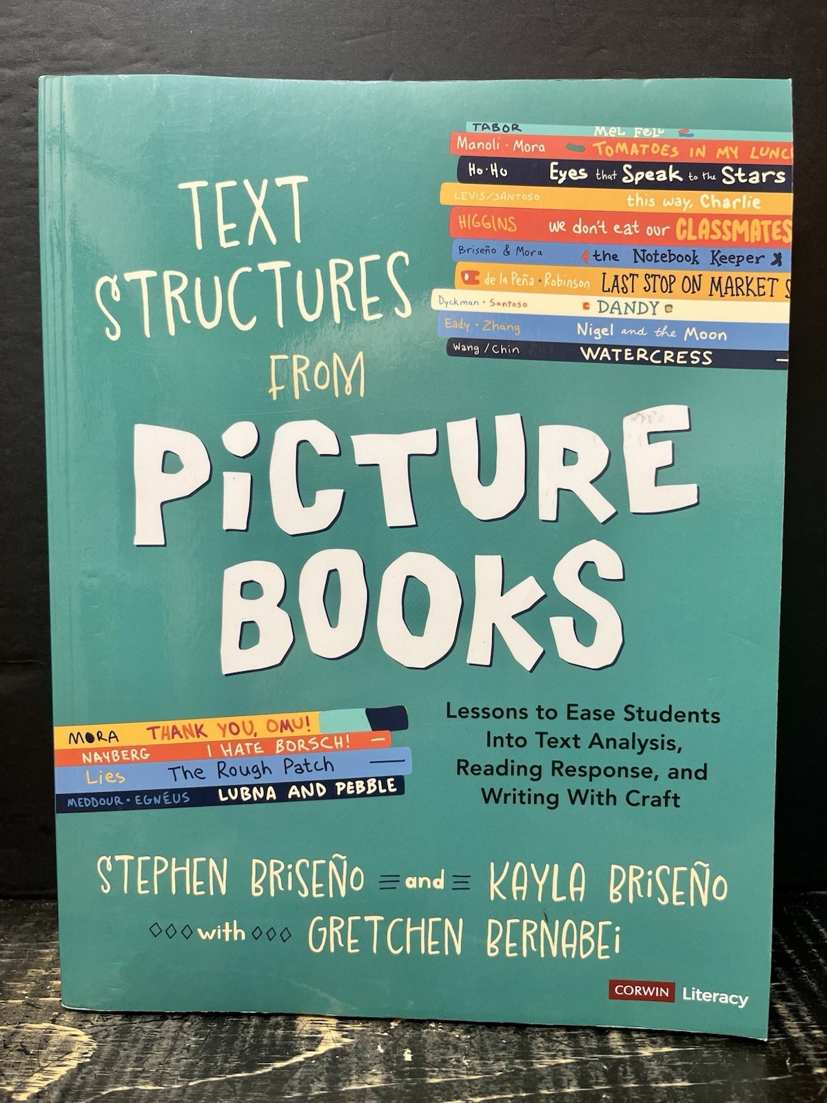 Text Structures from Picture Books : Lessons to Ease 2024 Sftcvr Like New B3