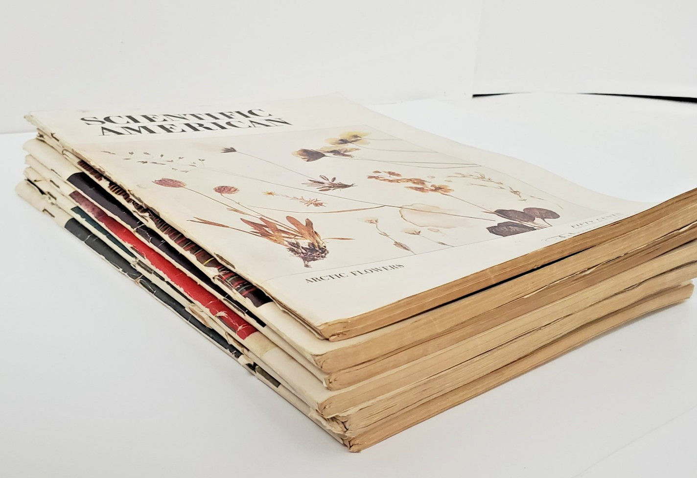 Scientific American Magazine lot of 6 Vintage Issues 1956 – 1957