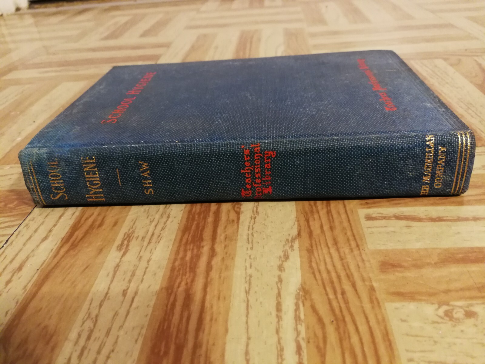 SCHOOL HYGIENE by EDWARD R SHAW 1902 TEACHERS PROFESSIONAL LIBRARY PHYSIOLOGY
