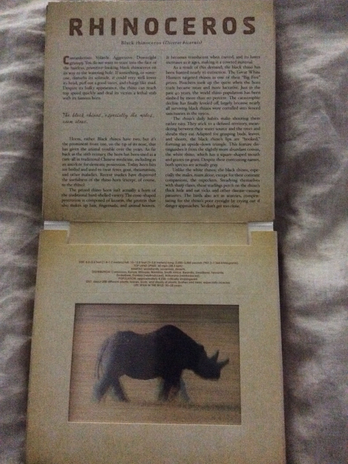Photicular Ser.: Safari : A Photicular Book by Carol Kaufmann and Dan Kainen…