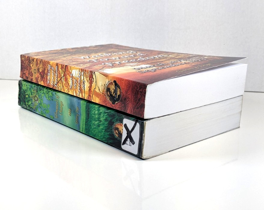 Set 2 The Bregdan Chronicles Ser. Books Ginny Dye #7,20~Walking Towards Freedom