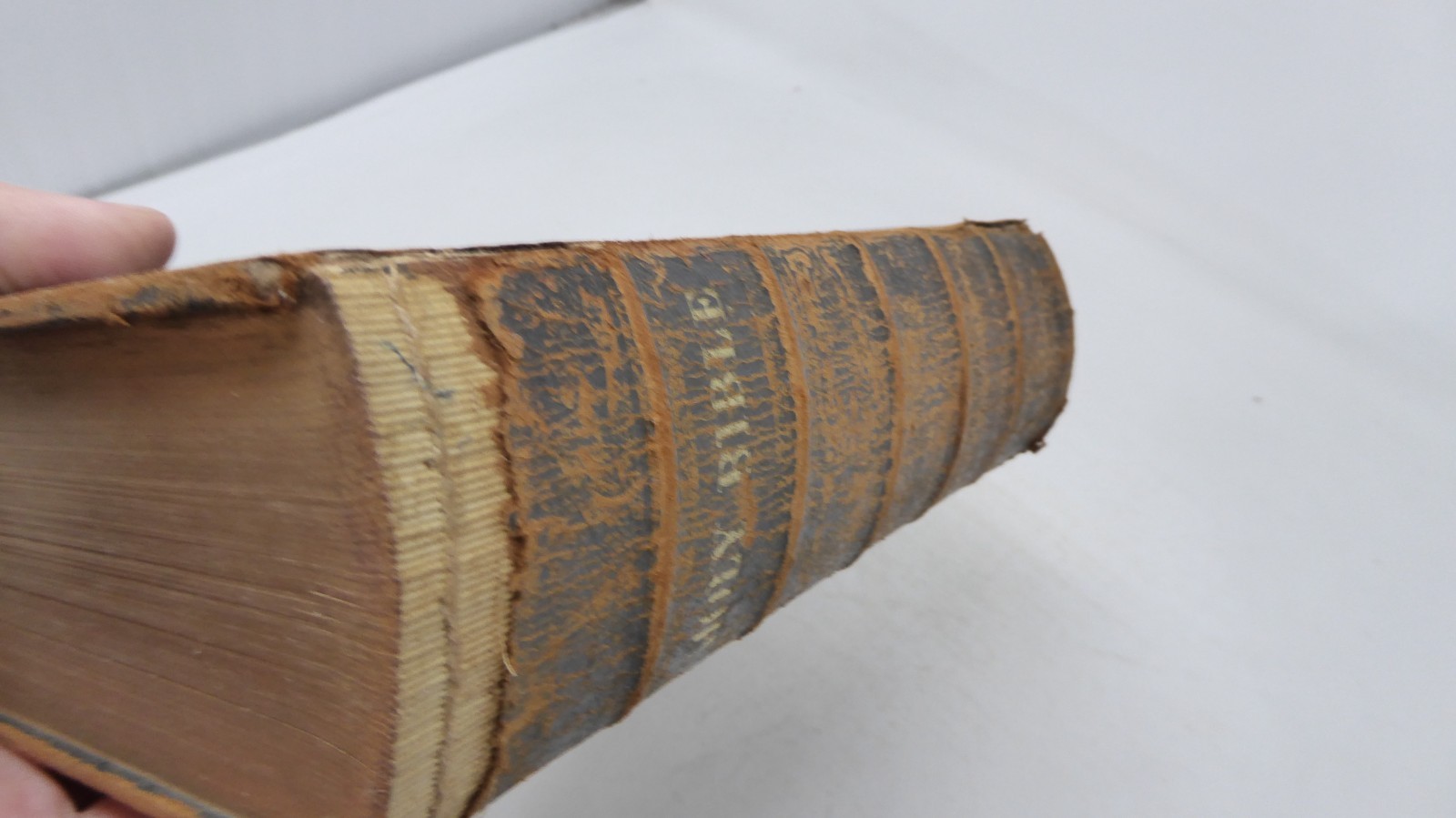 1853 American Bible Society Holy Bible Old and New Testaments Original Tongues