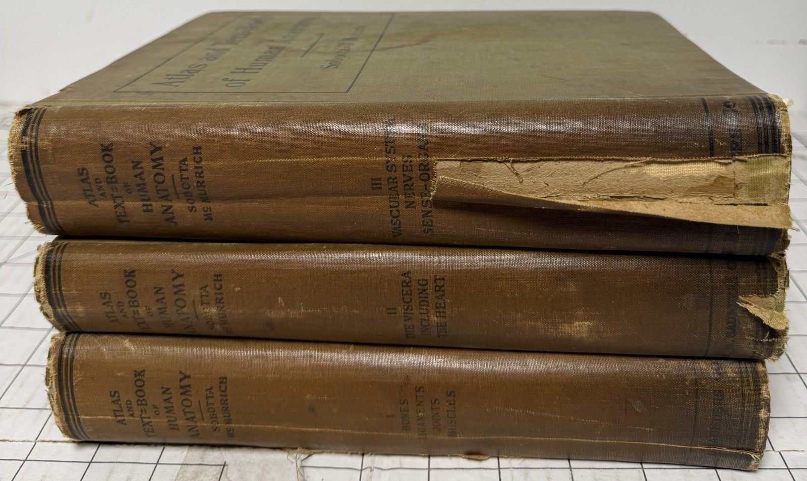 Atlas and Text-Book of Human Anatomy by Sobotta & McMurrich 3 Volume Set 1914 HC