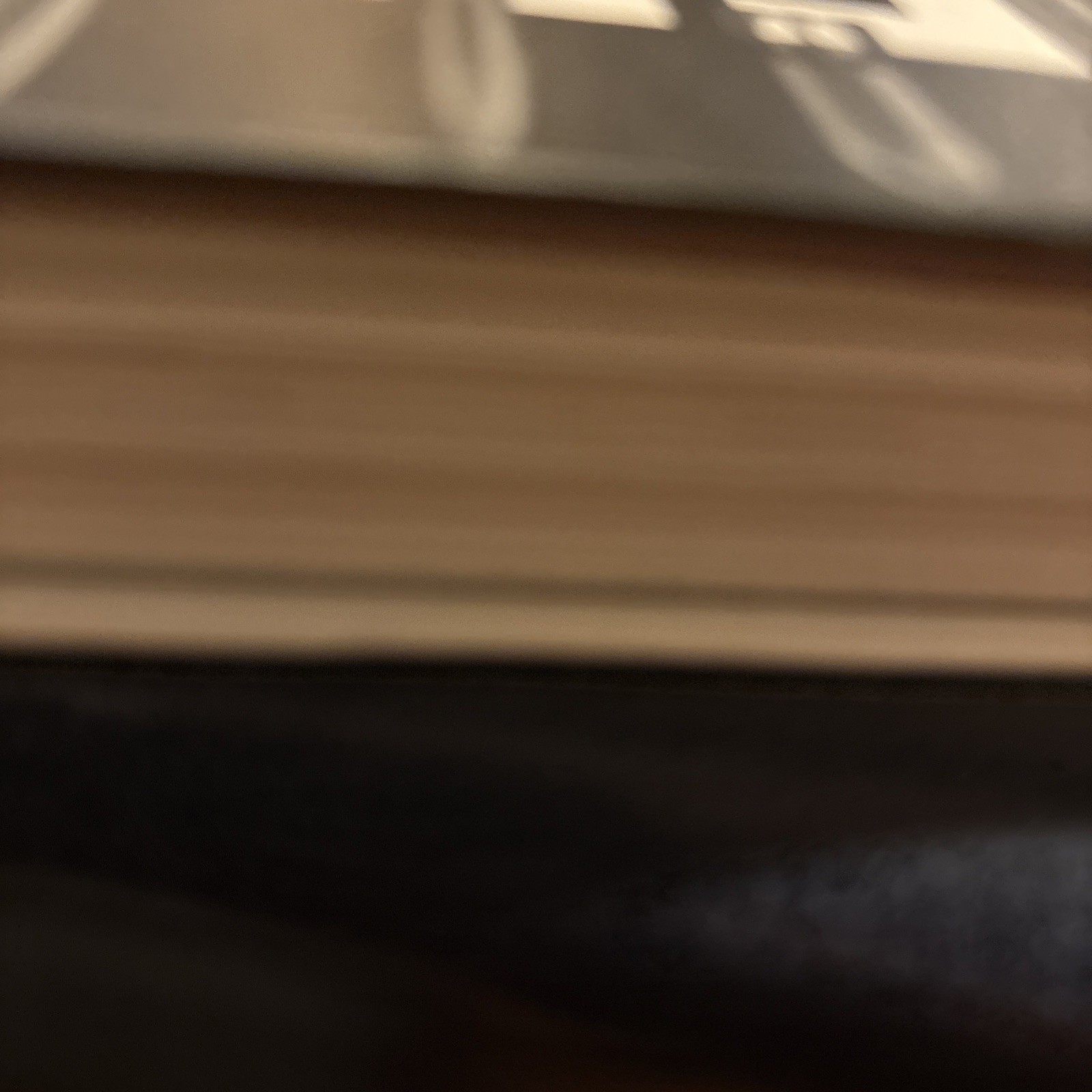 Ai Weiwei. 40th Ed. – Hardcover, by Holzwarth Hans Werner – Very Good Book EUC