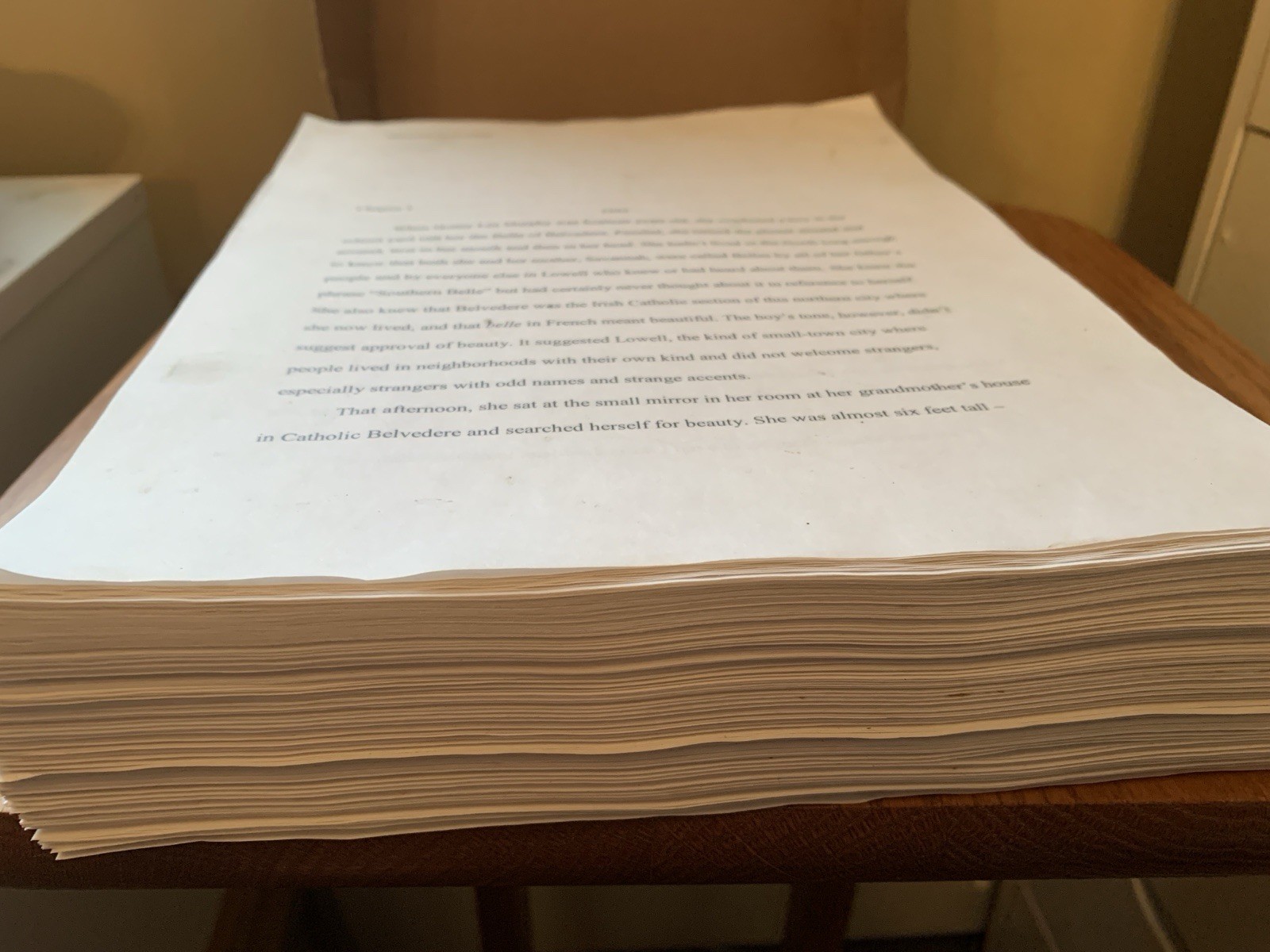 RARE Original Manuscript Typed “South Station” by Alice Barton Book 382 pages
