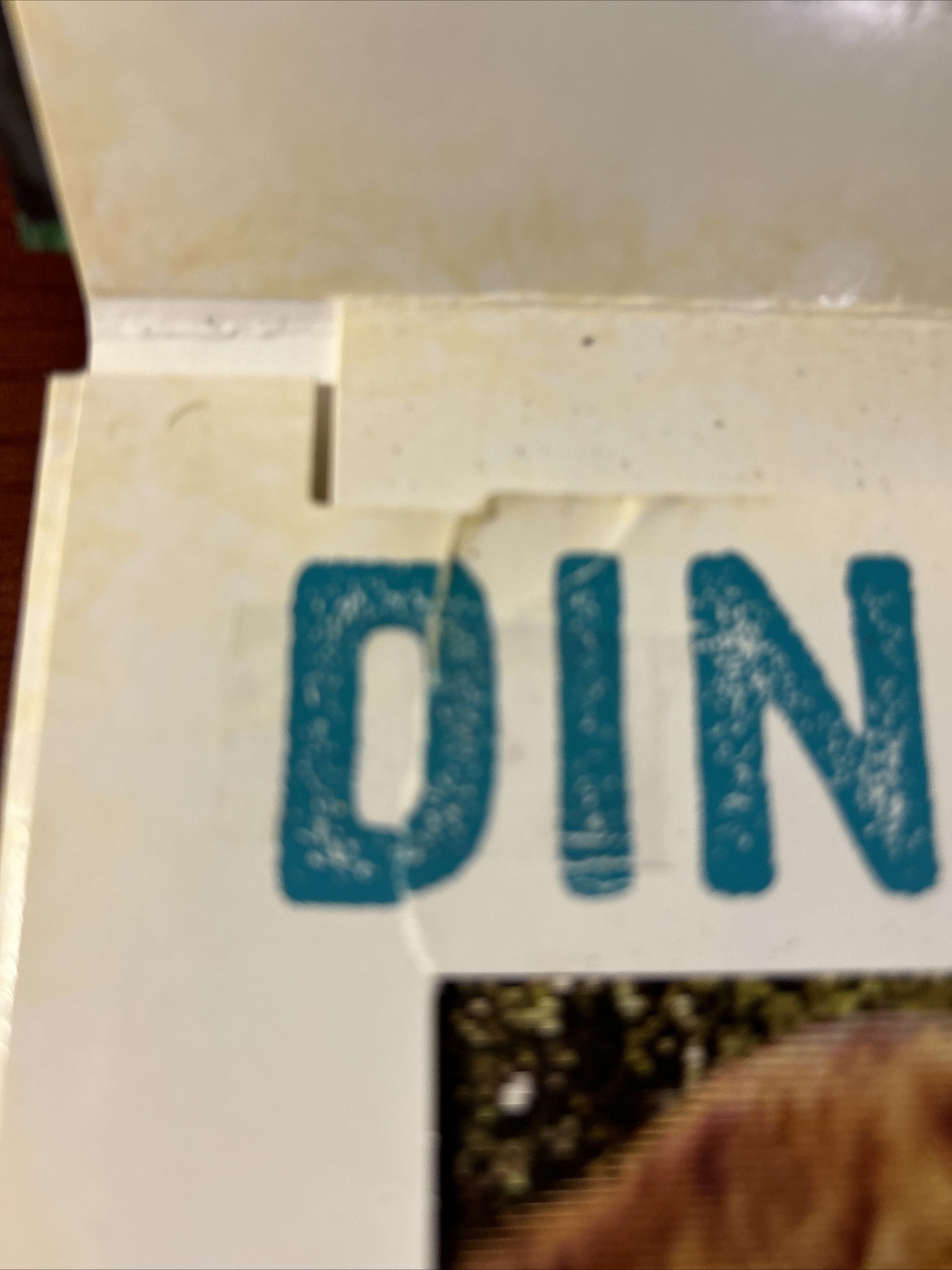Photicular Ser.: Dinosaur : A Photicular Book by Kathy Wollard and Dan Kainen…