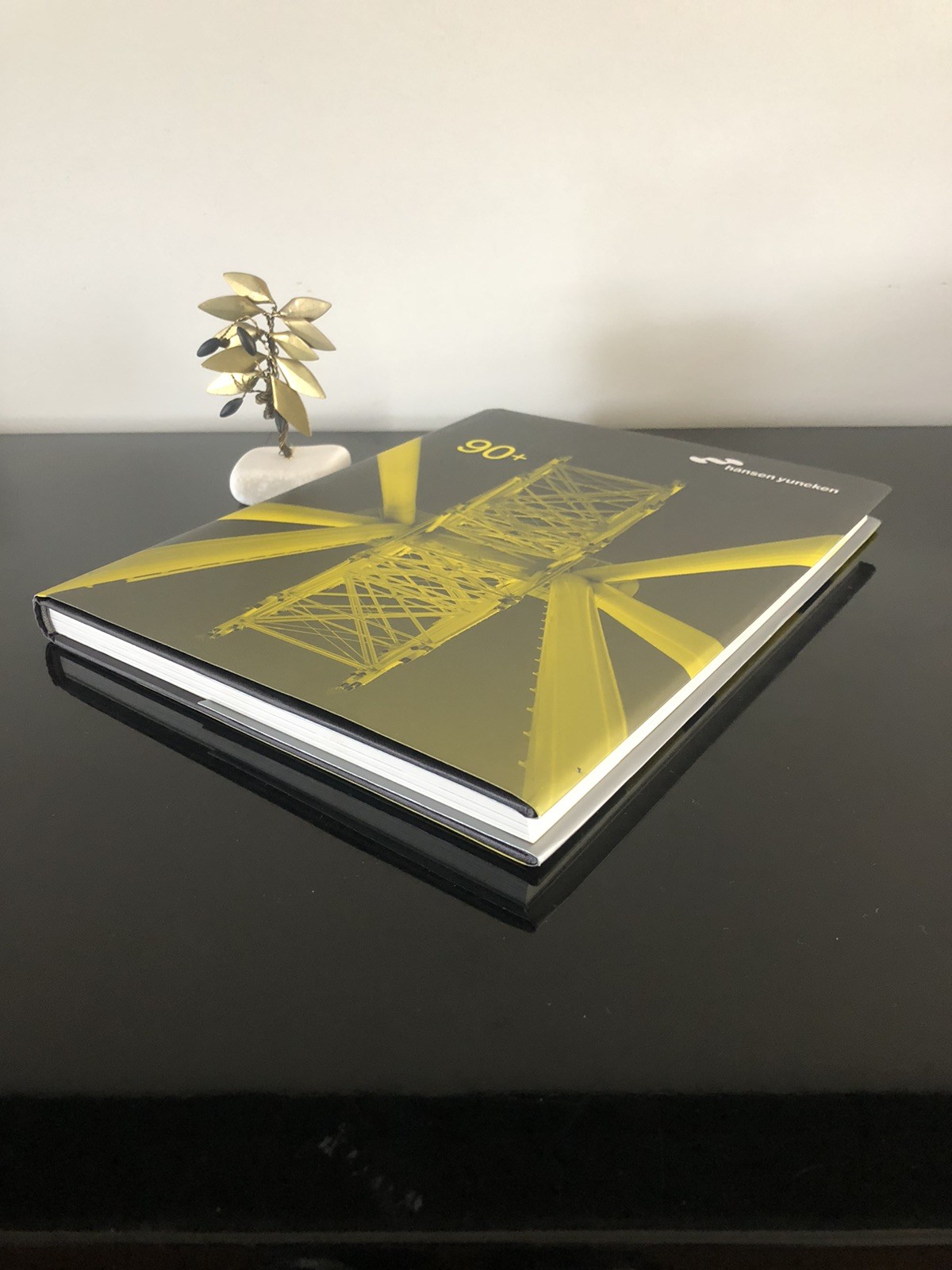 Architecture Hansen Yuncken 90+ 2007 First Edition HC DJ LN Company 🏗️