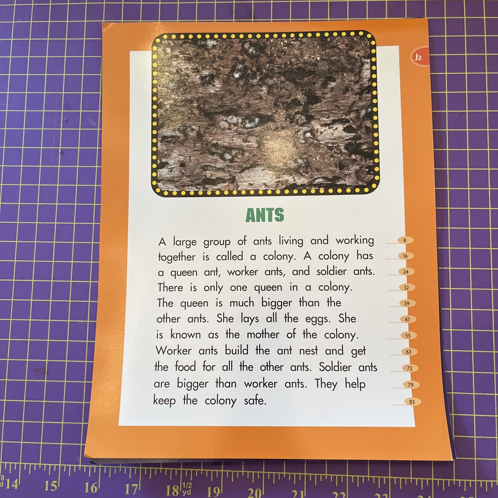 Reading Benchmark Kit. Fluency Kit For Independence. Level F – U