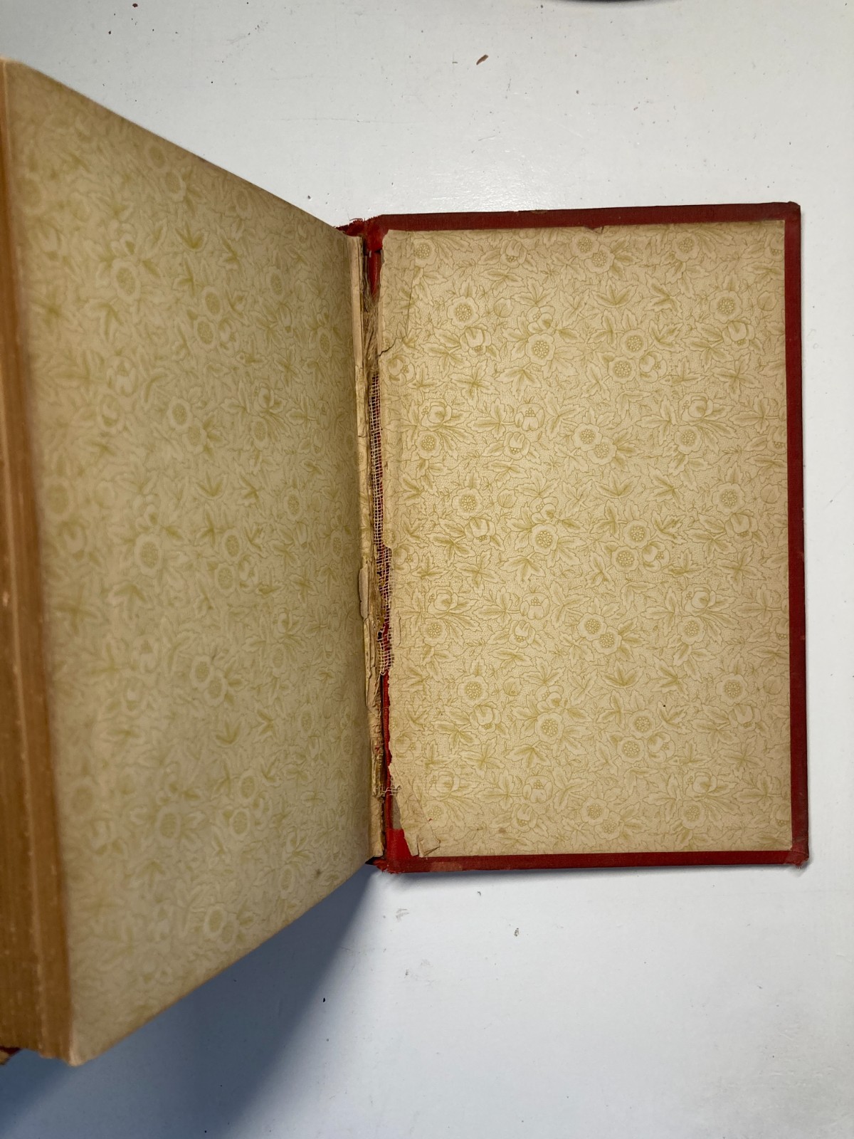 1890 Alice’s Adventures in Wonderland Worthington Red Cloth Tenniel Gilt Rare