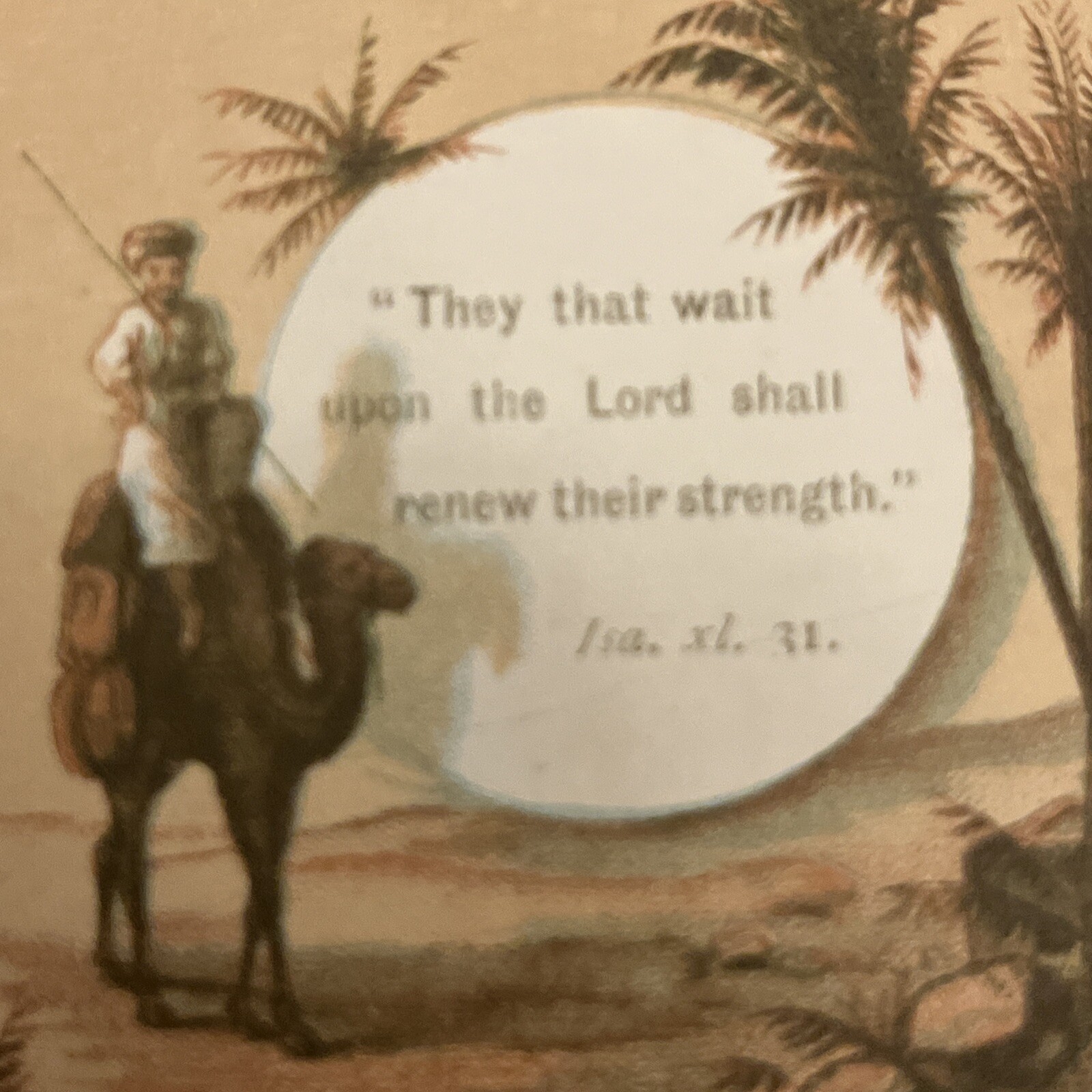 The Pilgrims Rest Antique Illustrated Mini Pray book Lady Hope 3” Hardback