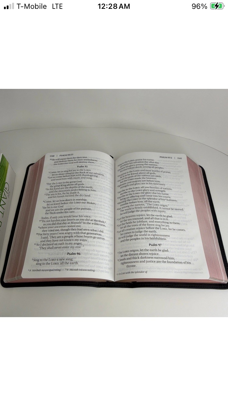 NIV, Giant Print Compact Bible, Giant Print, Premium Leather, Black – Excellent