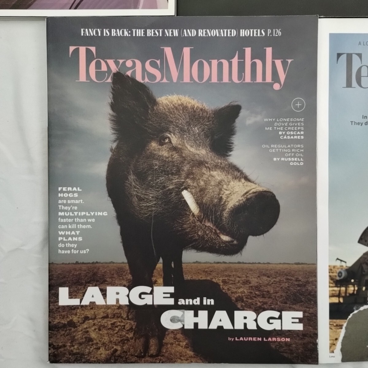 TEXAS MONTHLY Magazine Lot Of 10 2020-2022-2023 Elon Musk Hogs Tanya Tucker #1