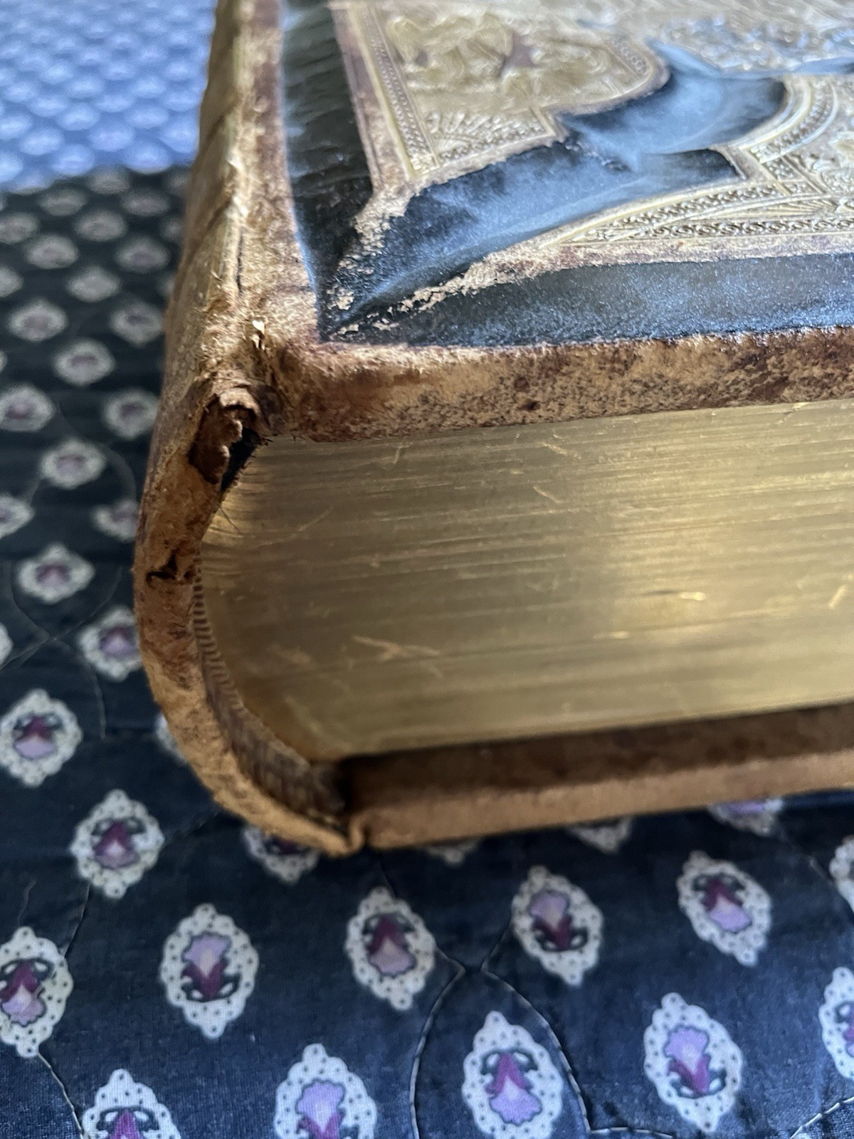 1895 Excellent KING JAMES Holy BIBLE English Translation Of Original Tongues