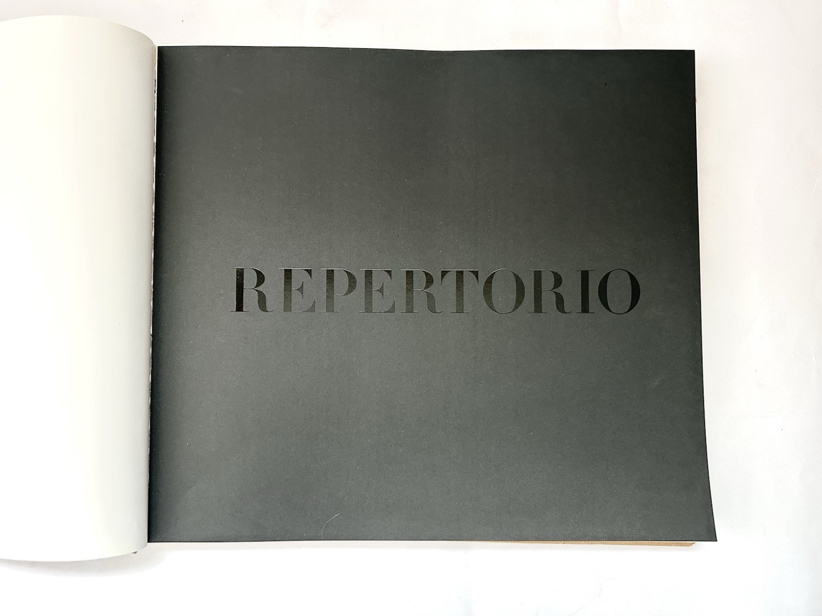 Fendi Baguette Book Libro Rizzoli First Edition 2012 Out of Print Rare