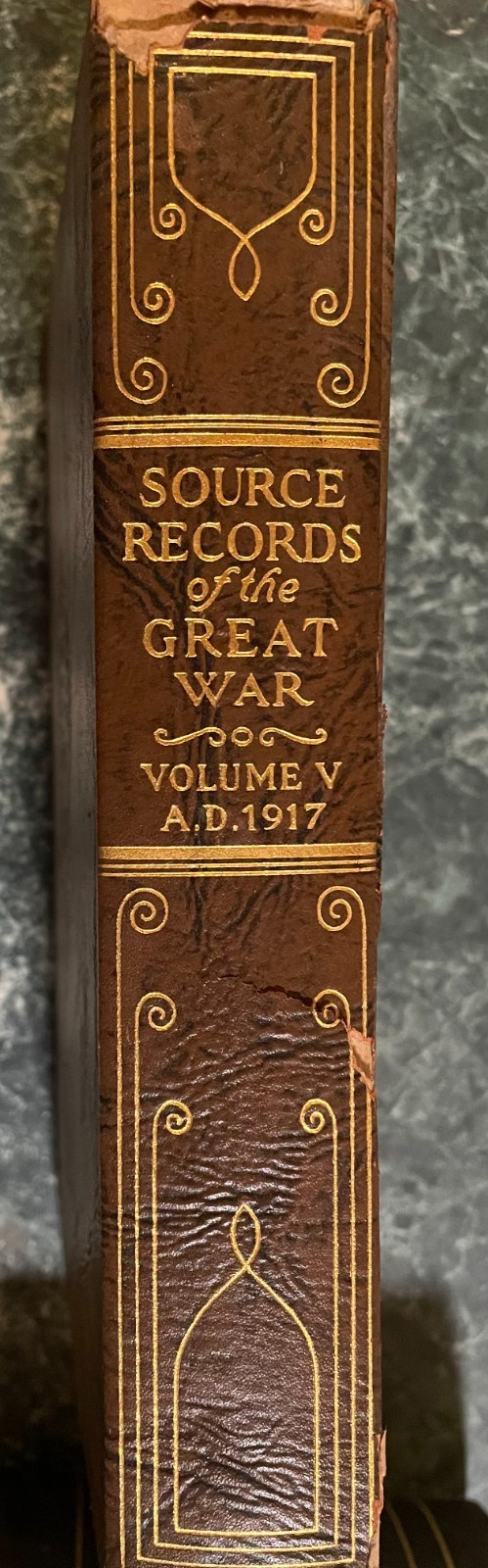Source Records of the Great War (WWI) Volume V – A.D. 1917, 440 pages