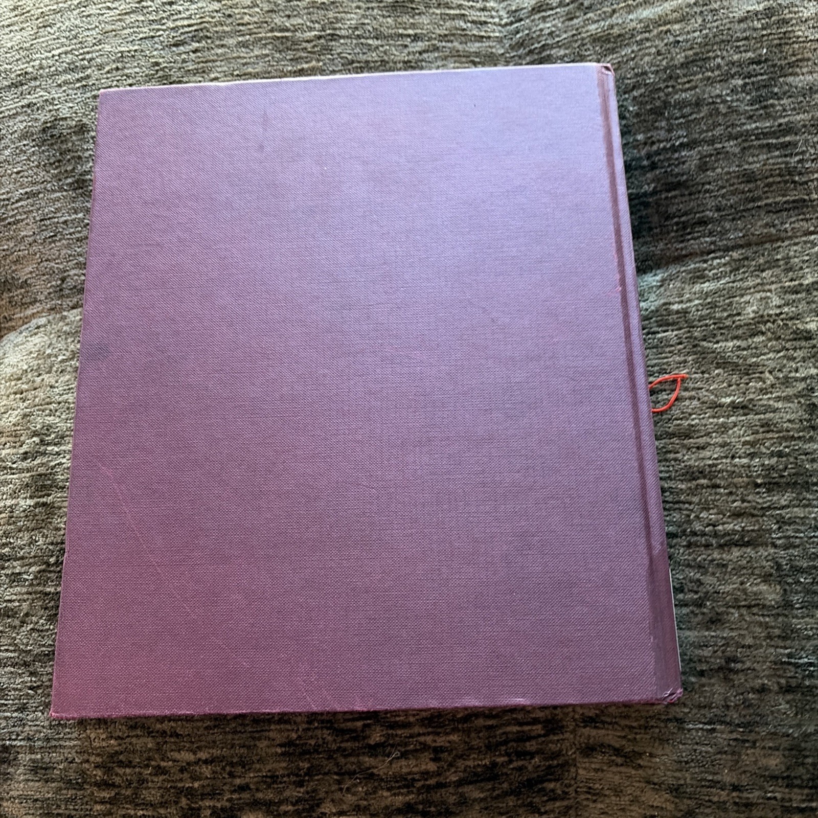 Hubble Vision Petersen And Brandt Book