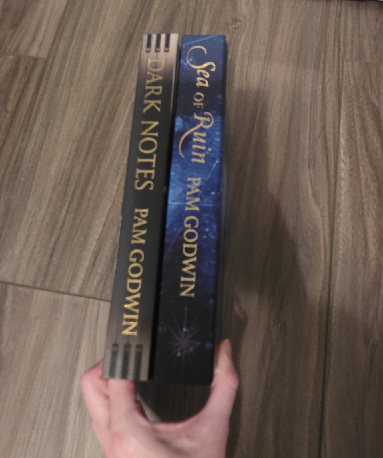 Mystic’s Dark Notes & Sea of Ruin by Pam Godwin