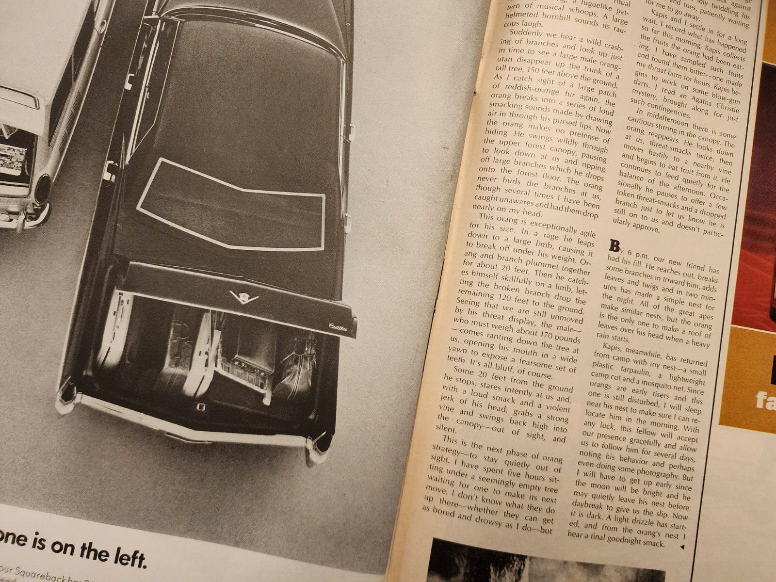 March 28, 1969 LIFE Magazine ORANGUTAN 1960s Advertising ads add FREE SHIP 3 27