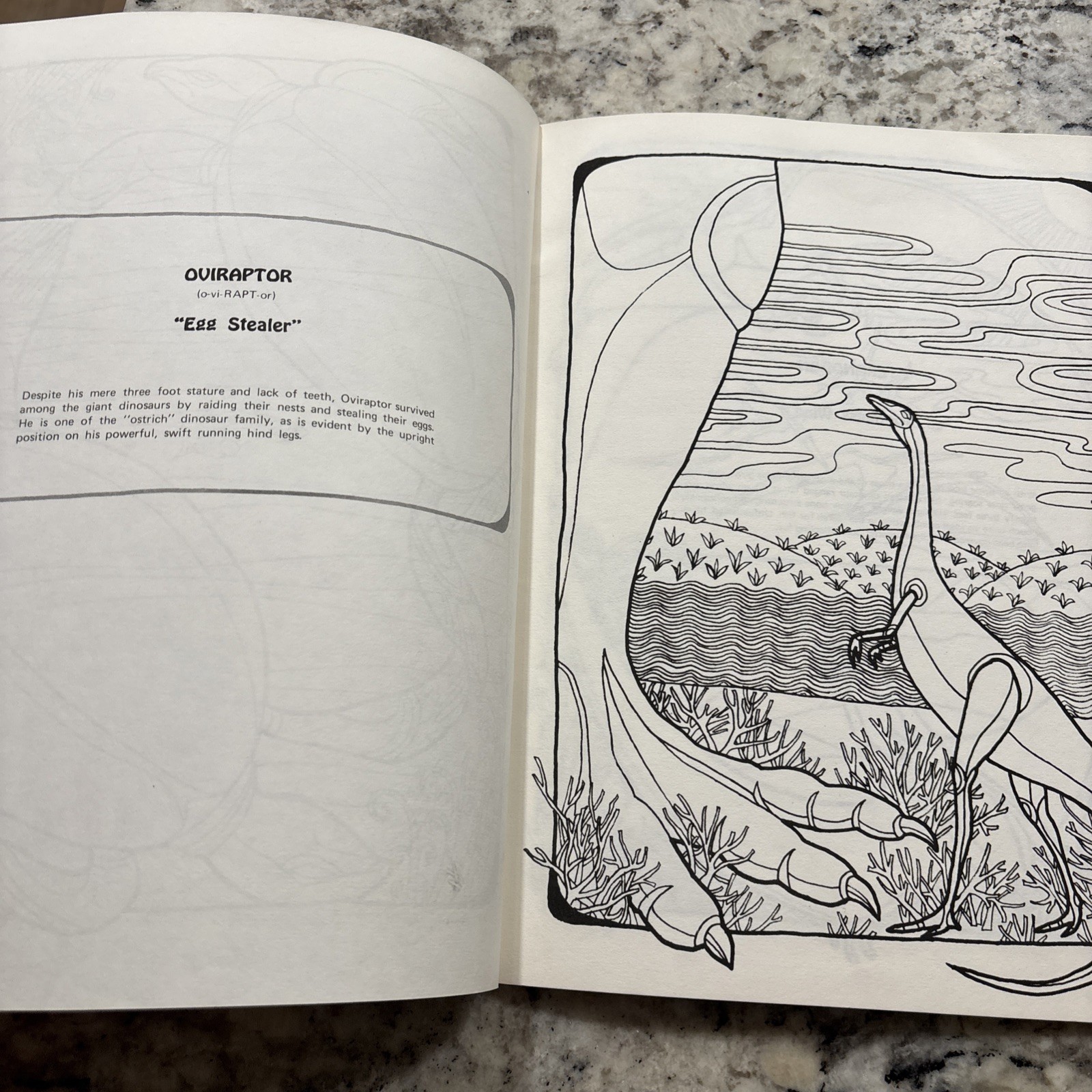 Dinosaur Coloring Book Troubador Press 1970 Retro Unused Oversized