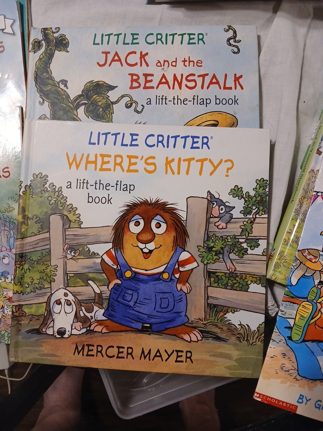 Mercer Mayer Little Critter Books Lot Of 49 Different Books And Stories Hb & Pb