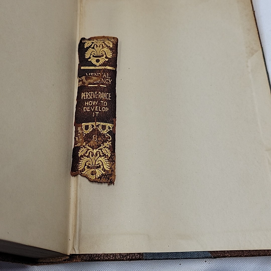 1915 Mental Efficiency Series Complete 10 Volume Set Hardcover Books