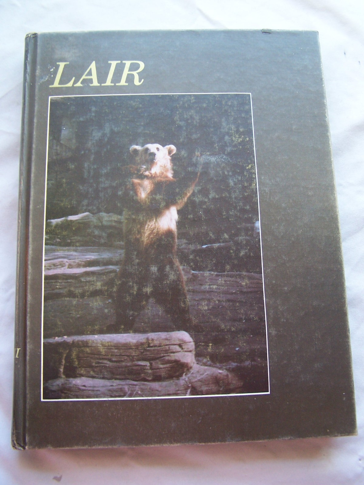 1979 TREVOR BROWNE HIGH SCHOOL YEARBOOK PHOENIX, ARIZONA LAIR