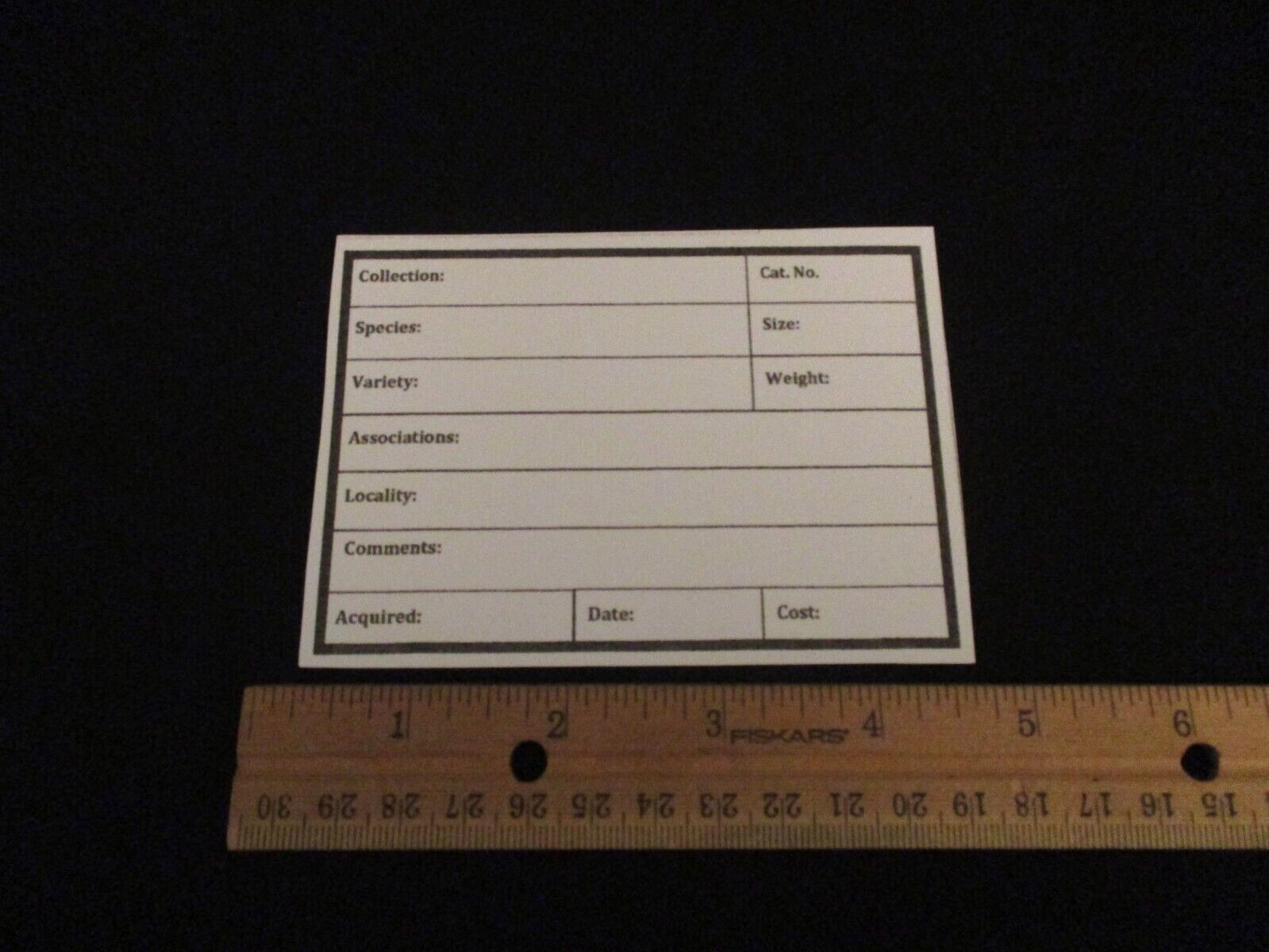 50 – White Specimen Catalog Cards E4290