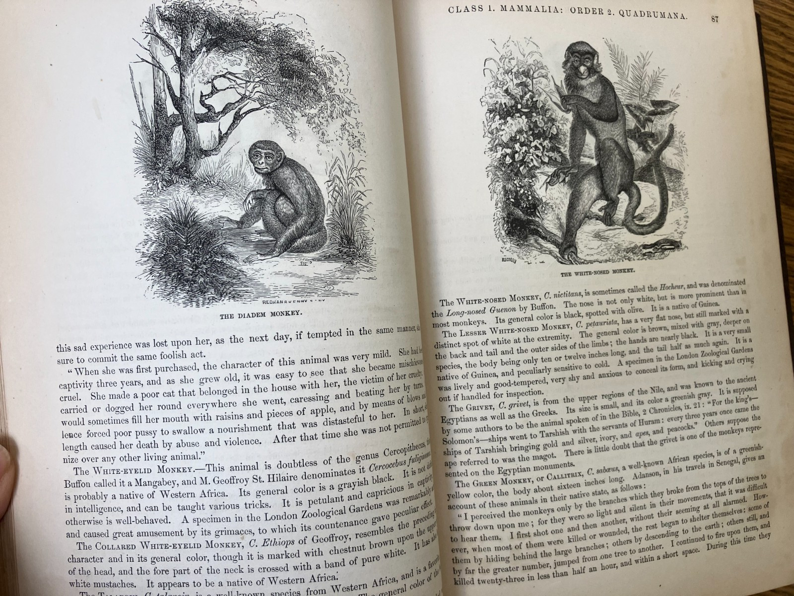 Johnson’s Natural History, Animal Kingdom, Vol. 1&2, by S. G. Goodrich, 1874