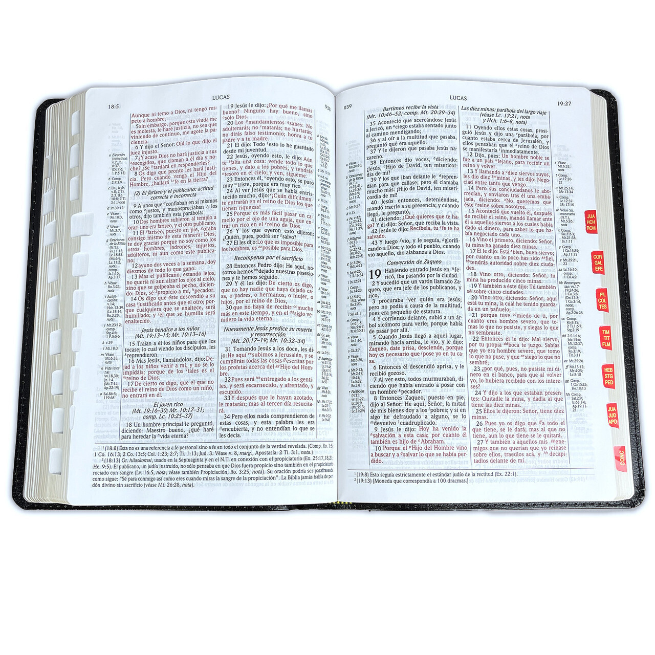Biblia Scofield de Estudio Pastoral Reina Valera 1960 piel negro con indice