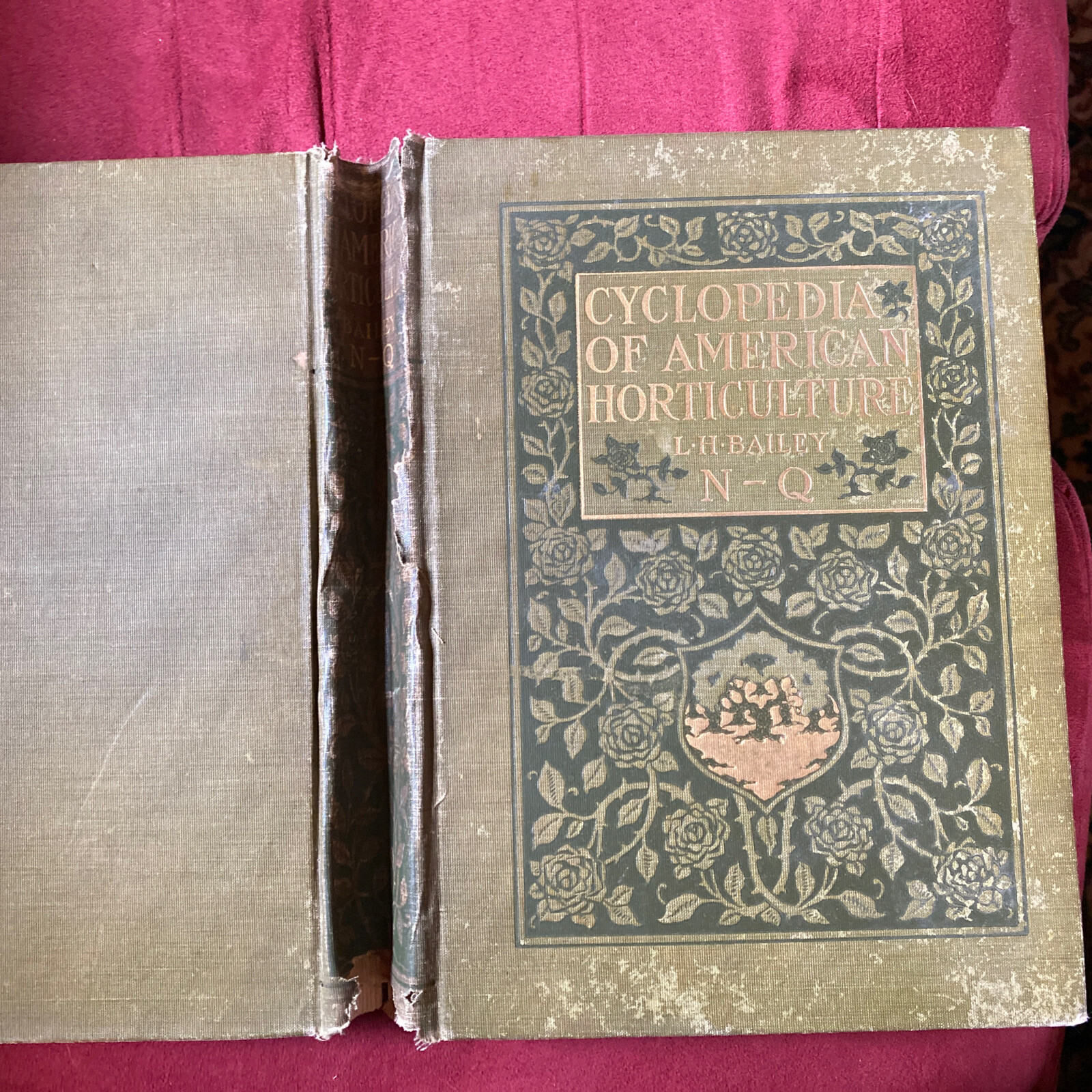 1904 Cyclopedia Of American Horticultural 700 Original Engravings Volume 3 N-Q